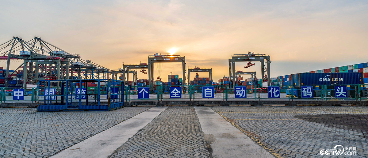 厦门港远海码头——****个全自动化码头 蔡理昕 摄.png