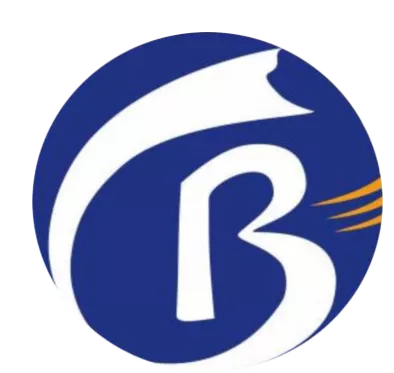 宁波笔彩国际物流有限公司logo